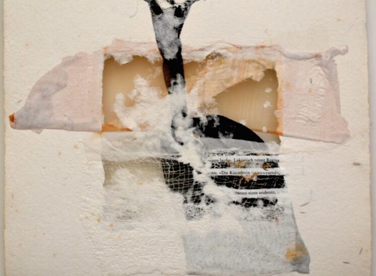 Collage 14