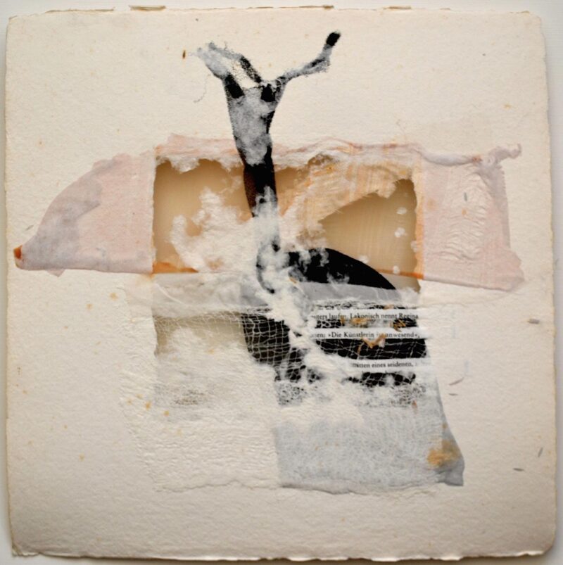 Collage 14