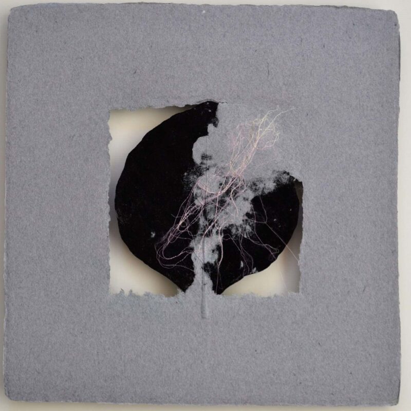 Collage 21