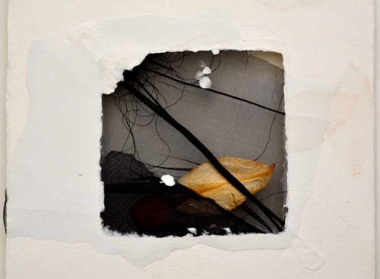 Collage 4