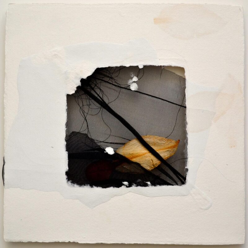 Collage 4